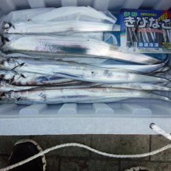 コスモは相性良いかも