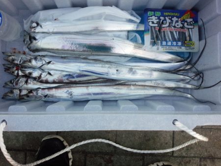 コスモは相性良いかも