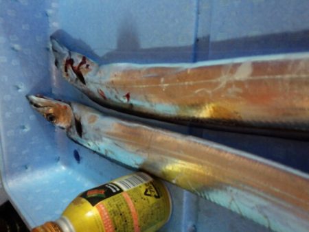 二日続けて深夜のコスモスクエア