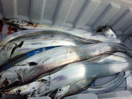 時合いはなかったけど・・・