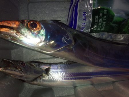 久々のコスモスクエア