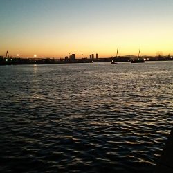 夕まずめの釣行にて‼