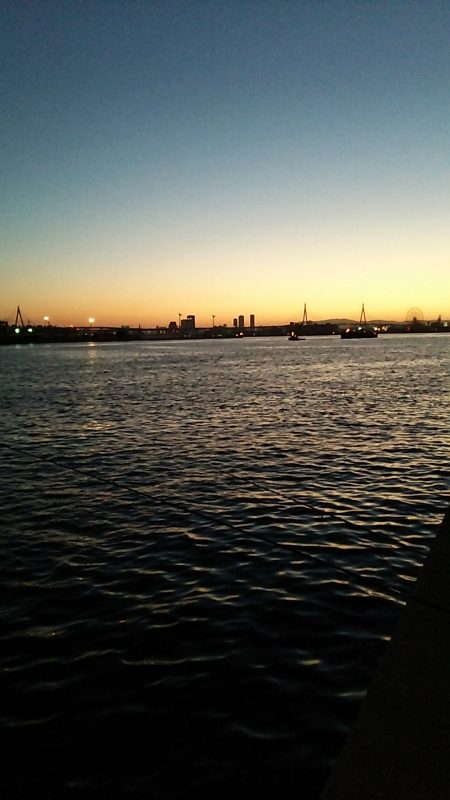 夕まずめの釣行にて‼