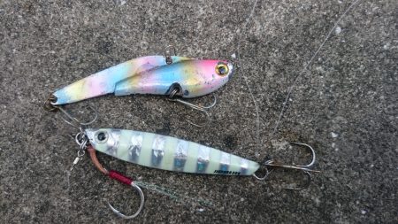 ジグでサゴシ！