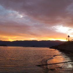 エギング日和 in敦賀半島