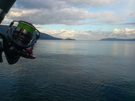 敦賀 秋のサゴシゲーム