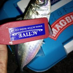 フェリーでお手軽淡路島♪