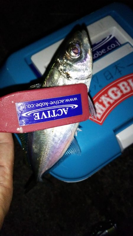 フェリーでお手軽淡路島♪