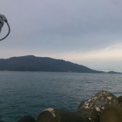 久しぶりの釣果