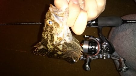 アジング釣行記