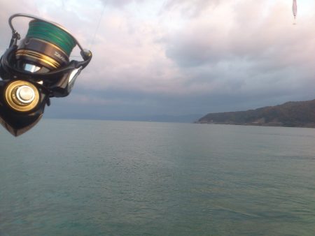 初冬?サゴシゲーム