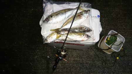 アジング釣行記