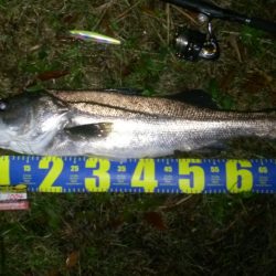 南風、、爆風、、、