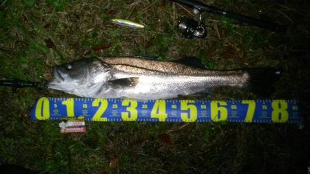 南風、、爆風、、、