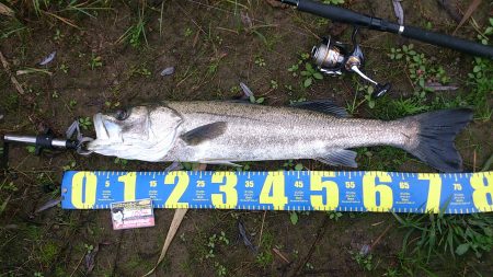 体力にまかせた釣り