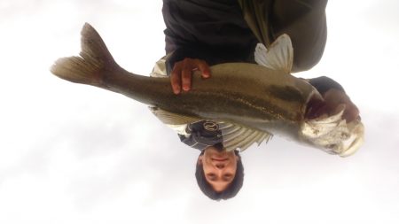 相性の良い長潮