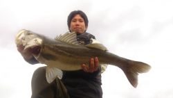 相性の良い長潮