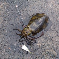 悪天候の中、釣行