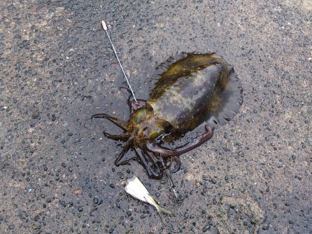 悪天候の中、釣行