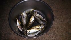 春木ベランダでアジング