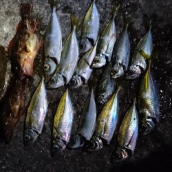 リベンジアジング