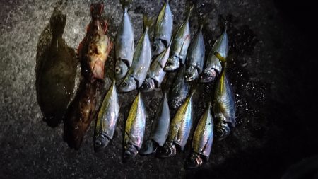 リベンジアジング