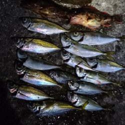 リベンジアジング