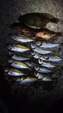 リベンジアジング