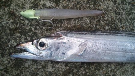 タチウオ釣り