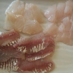 カレイは釣れず…