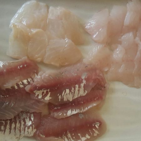 カレイは釣れず…