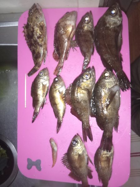 サイズは小さいけど満足