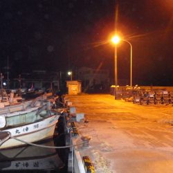 アジ・メバルIN養老