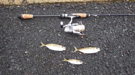 アジング＆メバリング