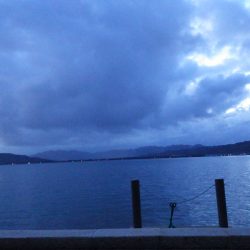 矢原：サゴシ回遊！