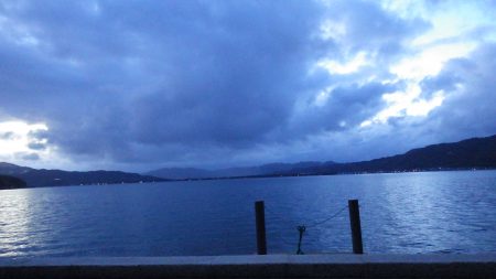 矢原：サゴシ回遊！