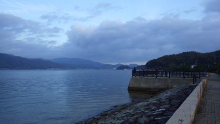 矢原　サゴシ回遊中