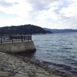 矢原：サゴシ祭り！