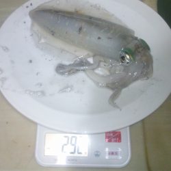 寒くなってきましたね