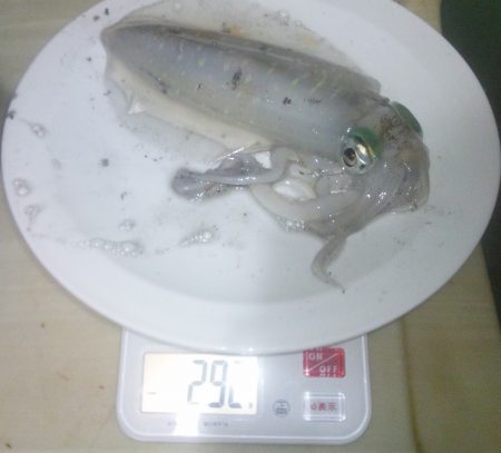 寒くなってきましたね