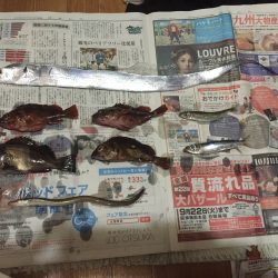 タチウオ＆ロックフィッシュ