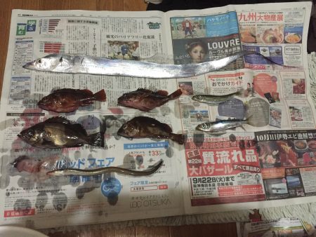 タチウオ＆ロックフィッシュ