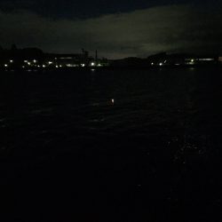 短小なんて嫌よ（悲）