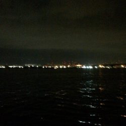 アジングでまさかのチヌ