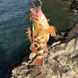 エギングロッドでショアジギング