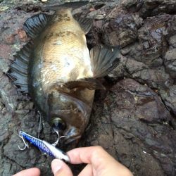 ショアジギング