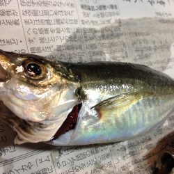 夜中まで粘りましたが…