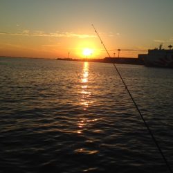 短い時合に効率よく