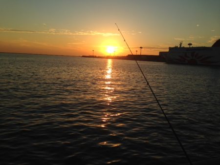 短い時合に効率よく