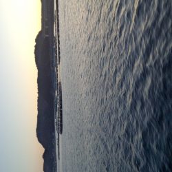 エギンガー＆ヤエン氏だらけ！！